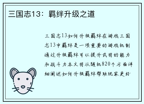 三国志13：羁绊升级之道